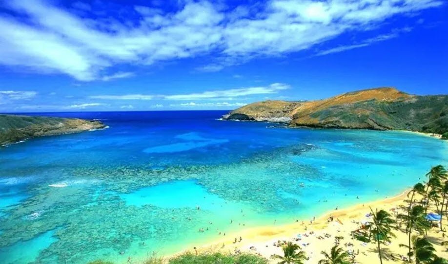 Paradise Beach, , India